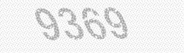Visual security code — type the characters shown in the image