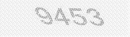 Visual security code — type the characters shown in the image